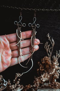 Image 7 of Snake ribs 