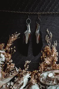 Image 2 of Feather and deer