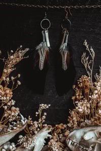 Image 4 of Feather and deer