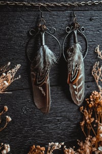 Image 2 of Simple feathers 