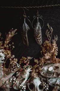 Image 4 of Simple feathers 