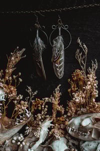 Image 5 of Simple feathers 