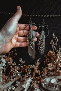 Image 3 of Simple feathers 