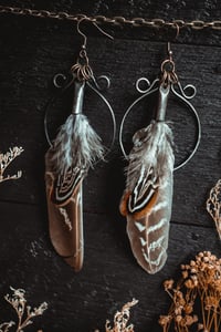 Image 1 of Simple feathers 