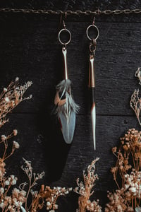 Image 1 of Feather and quill