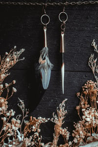 Image 5 of Feather and quill