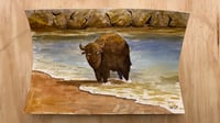 Image 2 of Sea Bison 