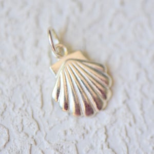 Image of Silver - Shells