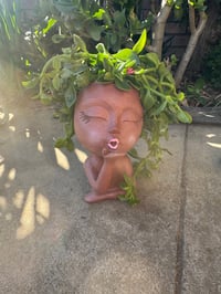 Image 2 of Ebony Face Planters with plant