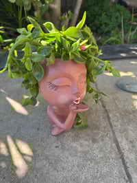 Image 1 of Ebony Face Planters with plant