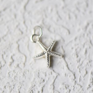 Image of Silver - Starfish