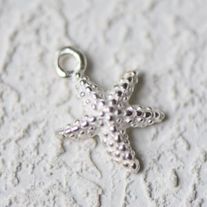 Image of Silver - Starfish