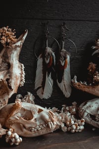 Image 3 of White feather earrings