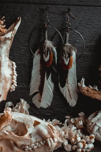 Image 1 of White feather earrings