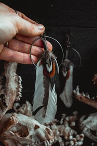 Image 2 of White feather earrings