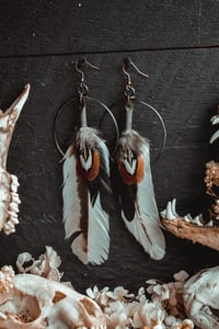 Image 5 of White feather earrings