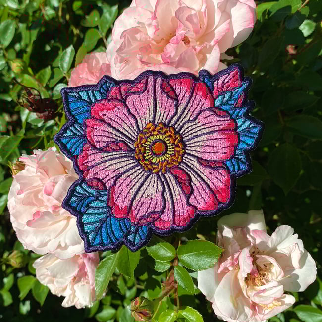 Wild Rose Patch