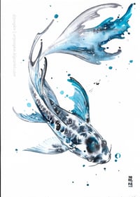 Image 2 of THE BLUE KOI
