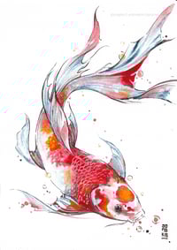 Image 4 of THE RED KOI