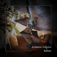 Image 1 of ☽ Artemisia Rubina ☾
