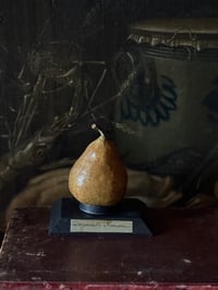 Poire en papier mâché « Doyenné d’Alençon »