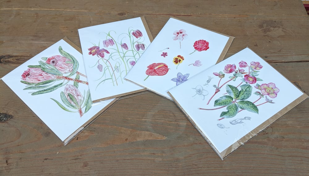 Image of Botanical Cards x 4