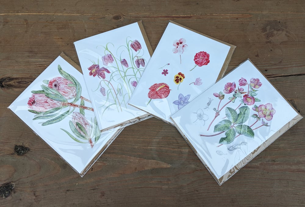 Image of Botanical Cards x 4