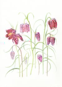 Image 5 of Botanical Cards x 4