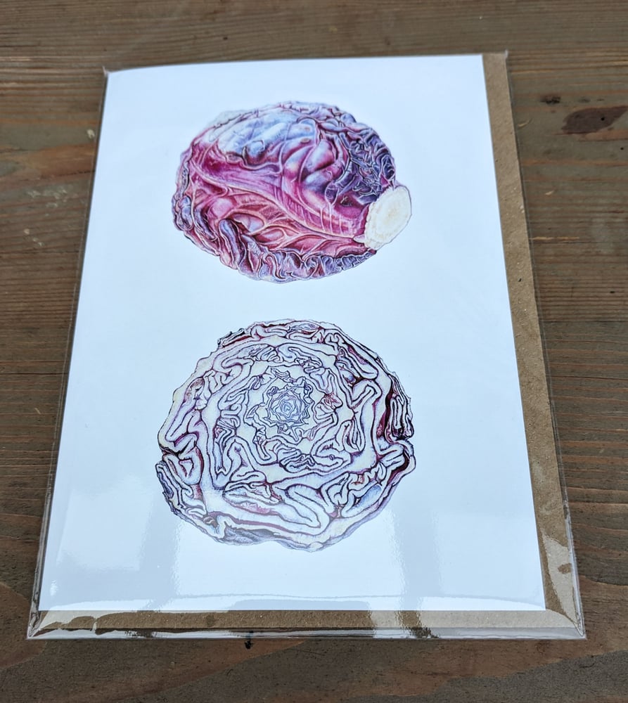 Image of Red Cabbage Card