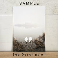 Image 1 of SAMPLE Soulmates in the mist print