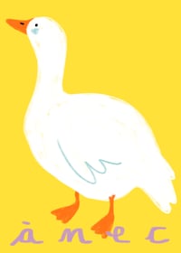 ÀNEC