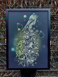 Image of The Pelican