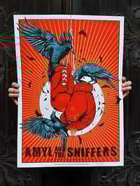 Image of AMYL AND THE SNIFFERS
