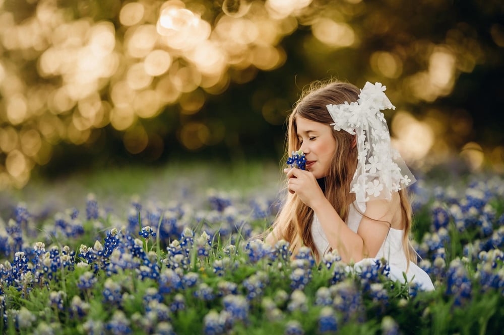 Image of Bluebonnet Minis (Deposit)