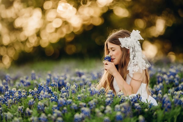 Image of Bluebonnet Minis (Deposit)