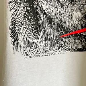 Image of 34th Annual Allentown Art Festival T-Shirt