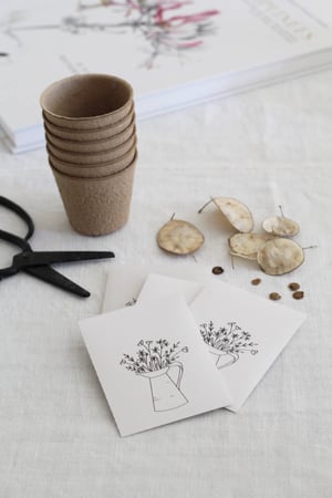 Image of Sachet de conservation pour graines semis (SCHGRAINSEAU)