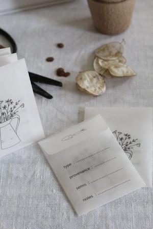 Image of Sachet de conservation pour graines semis (SCHGRAINSEAU)
