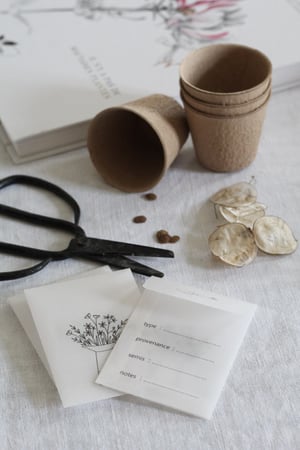 Image of Sachet de conservation pour graines semis (SCHGRAINSEAU)