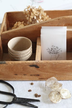 Image of Sachet de conservation pour graines semis (SCHGRAINSEAU)