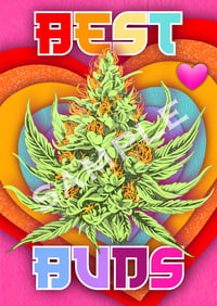 BEST BUDS