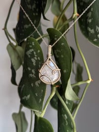Image 1 of Moonstone in Sterling Silver