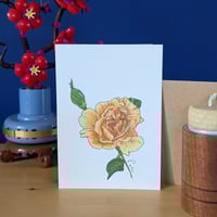 Image 1 of June birth month flower card