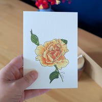 Image 4 of June birth month flower card