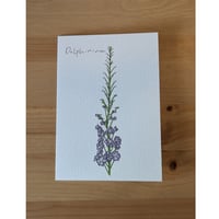 Image 3 of July birth month flower card