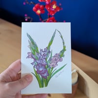 Image 4 of August birth month flower card