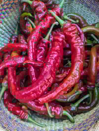 Image 1 of Freeze Dried Cayenne Pepper Powder