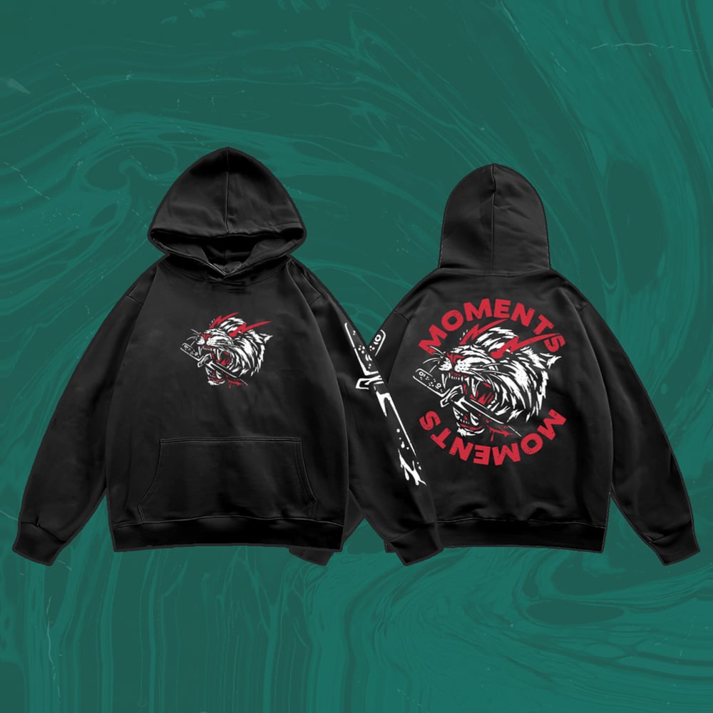 Image of SINK OR SWIM HOODIE 