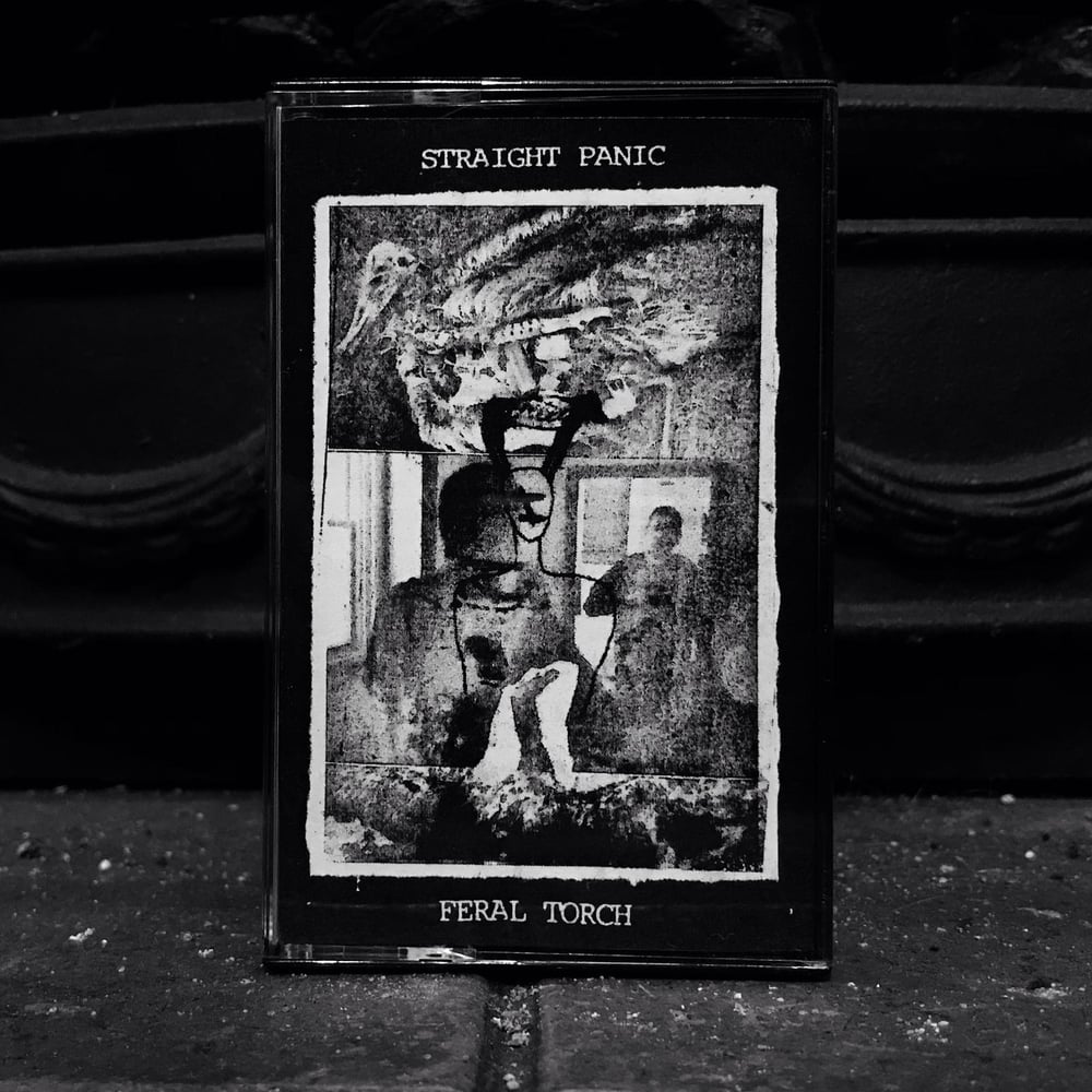 Straight Panic/Feral Torch - Split