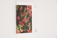 Image 5 of Billie - Ofer Wolberger